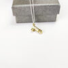 penis necklace