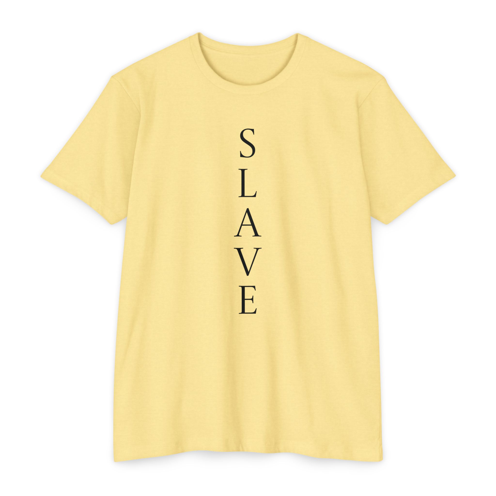 Slave TShirt , gift for slave, Party tee