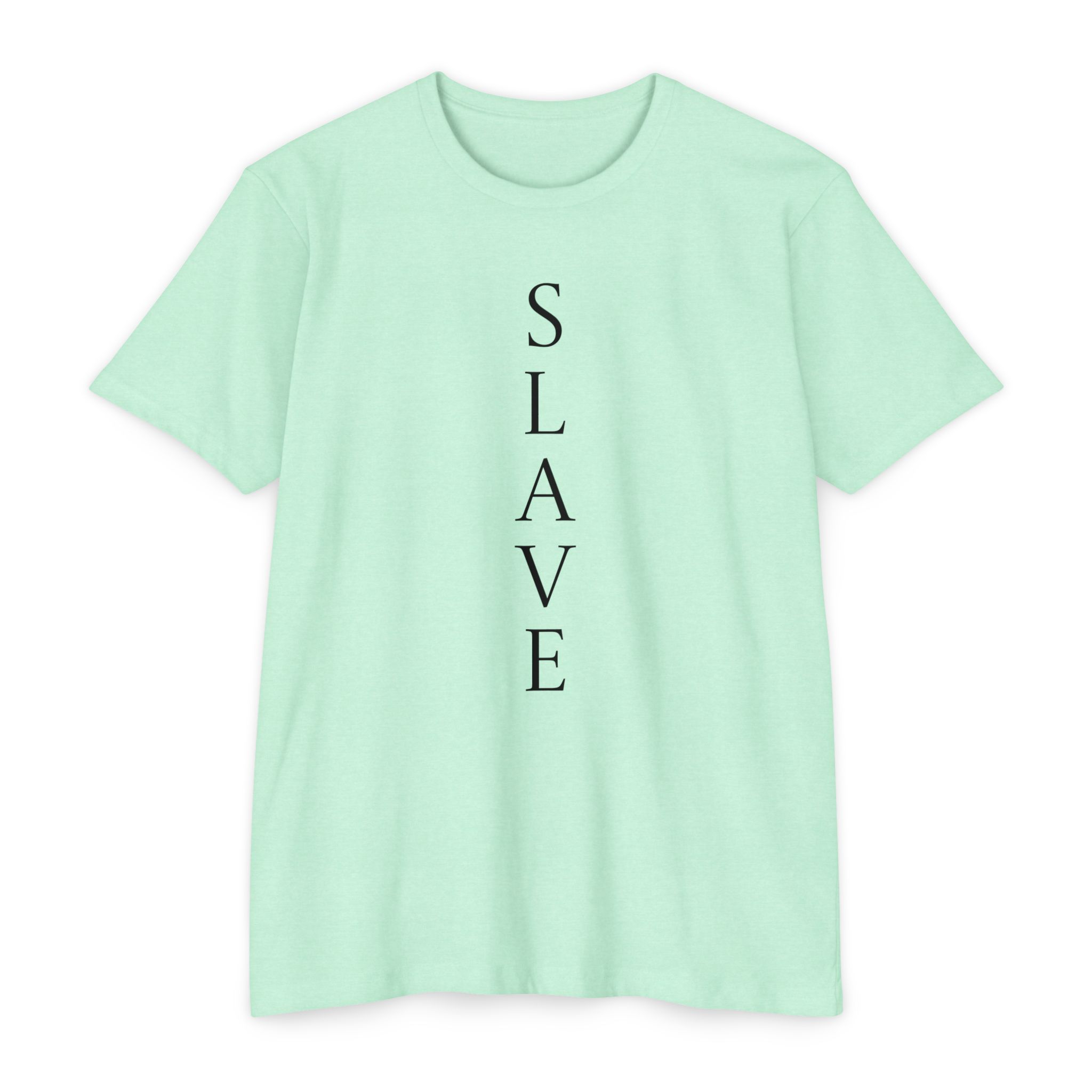 Slave TShirt , gift for slave, Party tee