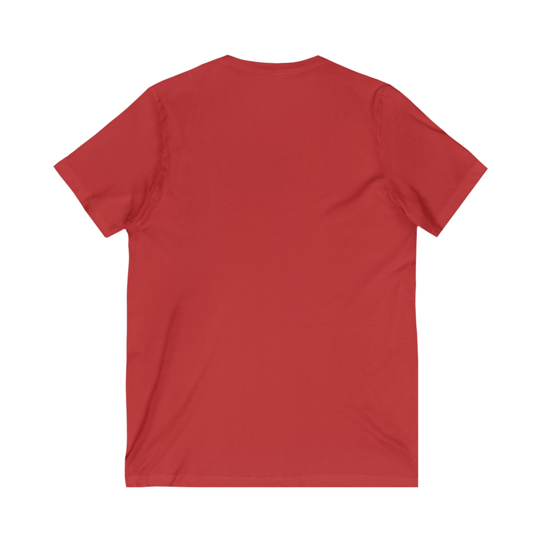 Gay T-Shirt V-Neck Tee Perfect Gift for Mens