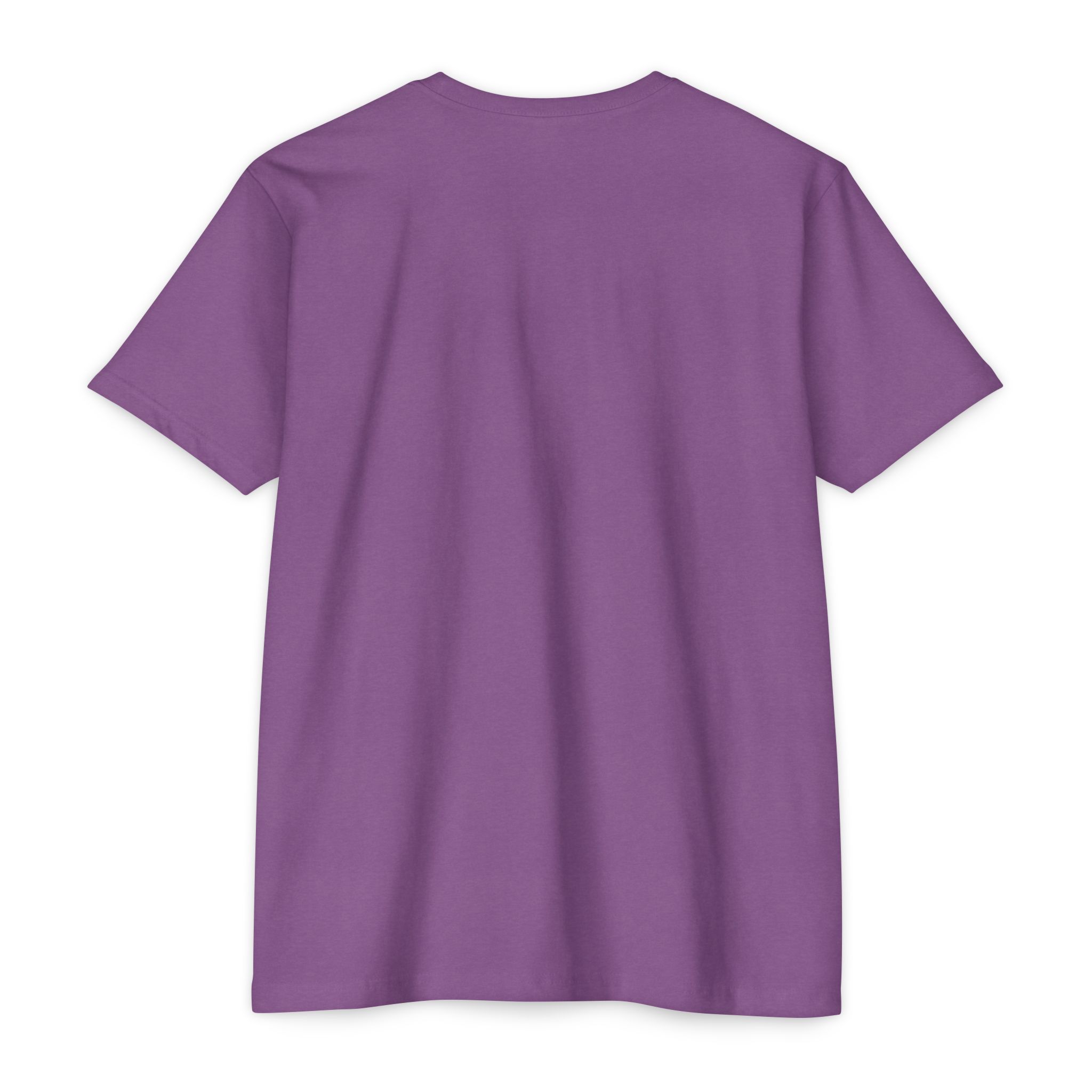 Whipping T-Shirt Vintage CVC Jersey Tee