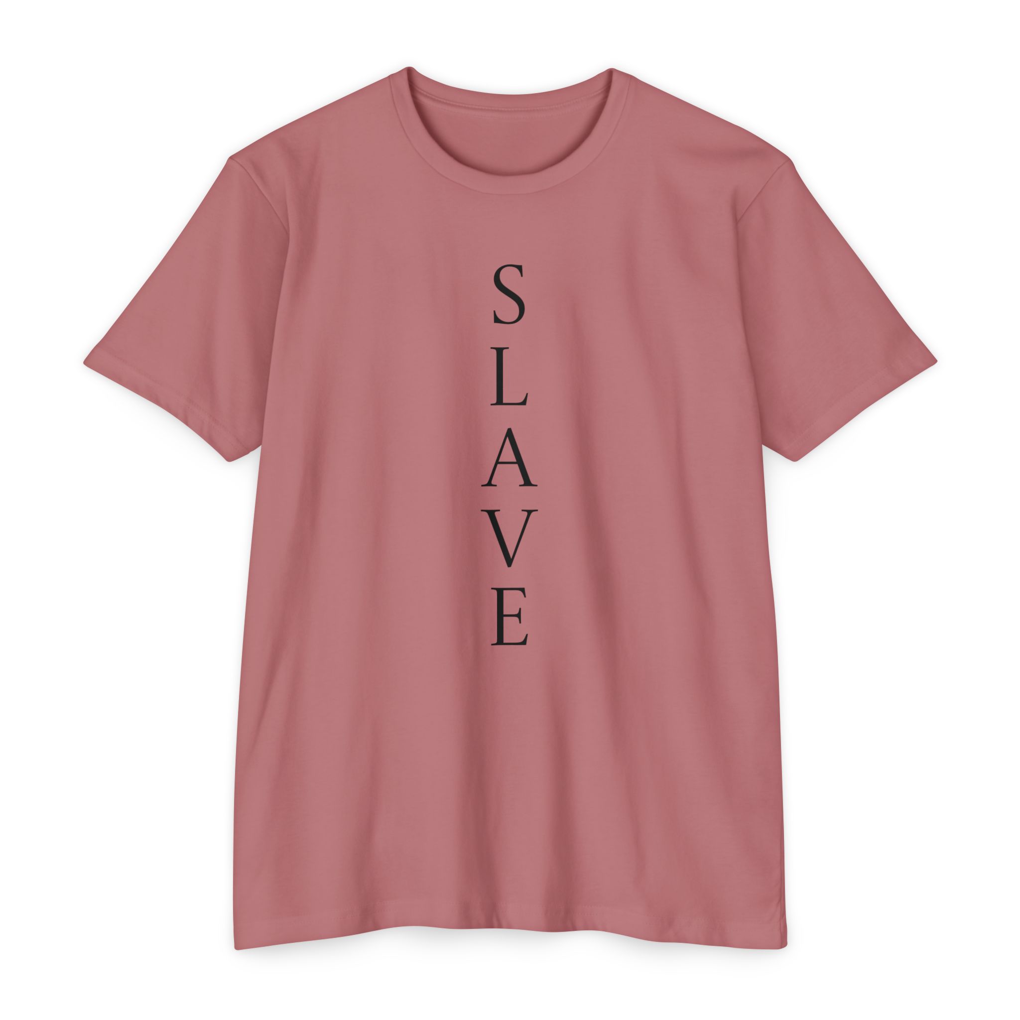 Slave TShirt , gift for slave, Party tee