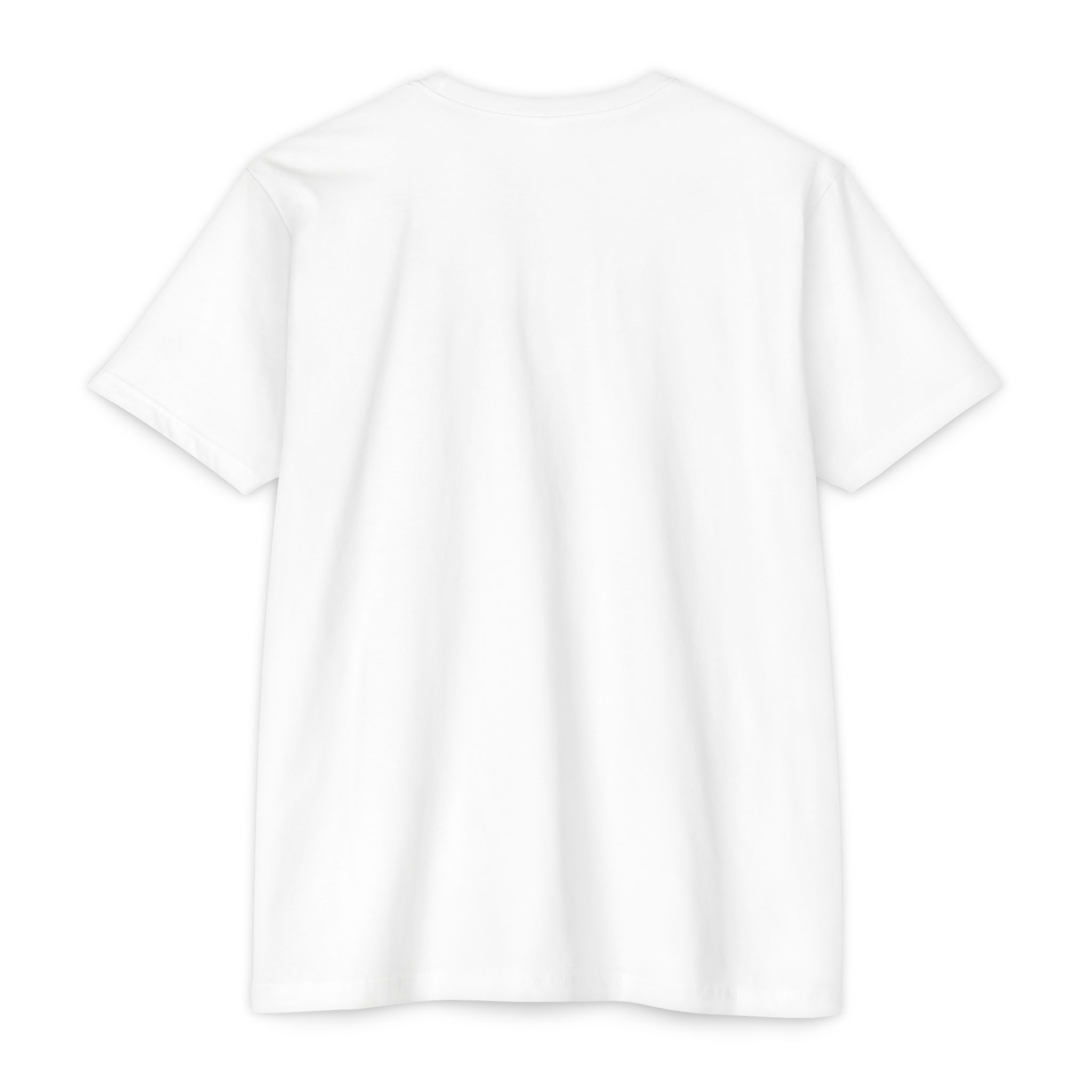Slave TShirt , gift for slave, Party tee